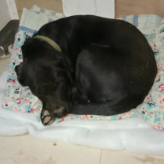 发际线稳住