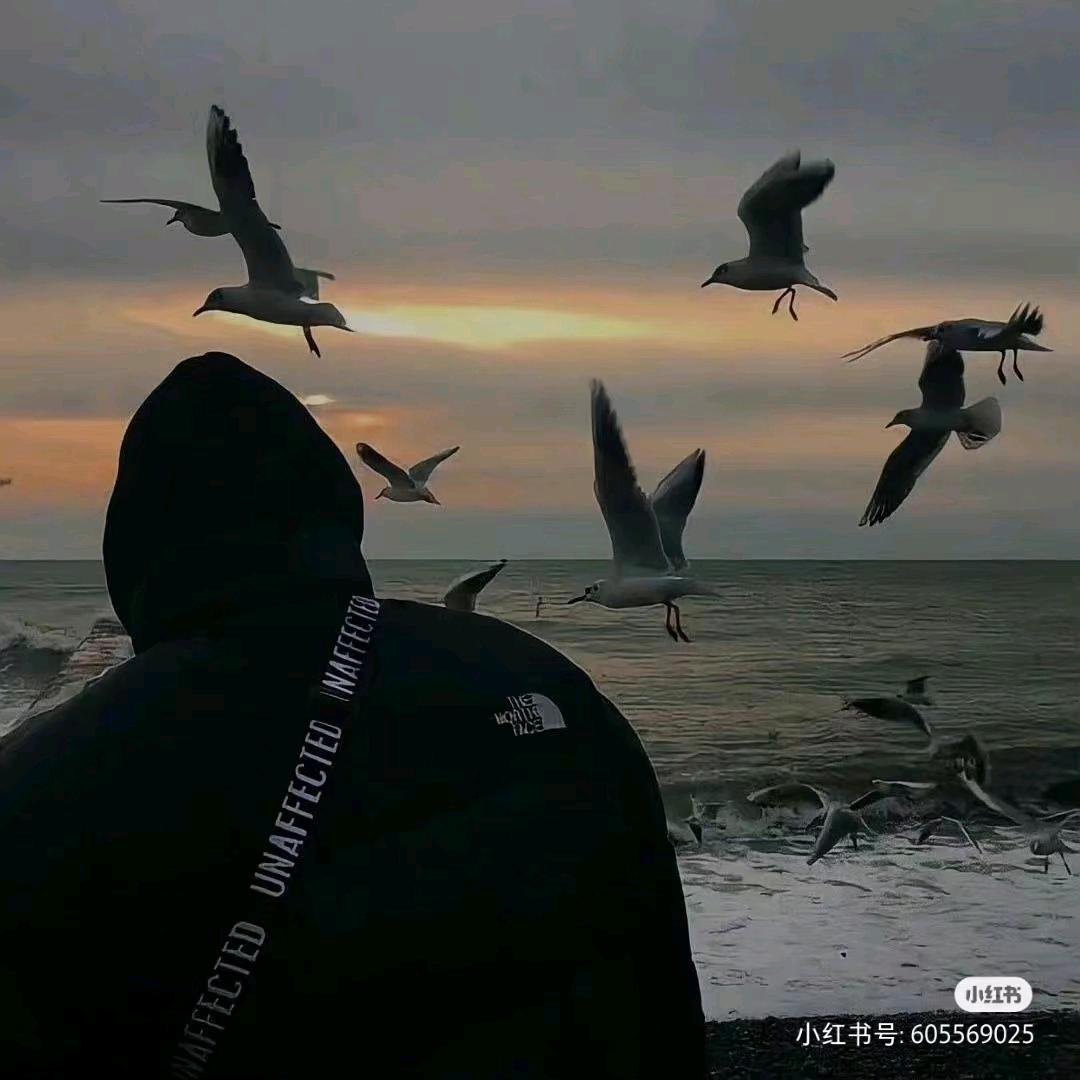 情歌王子小宝
