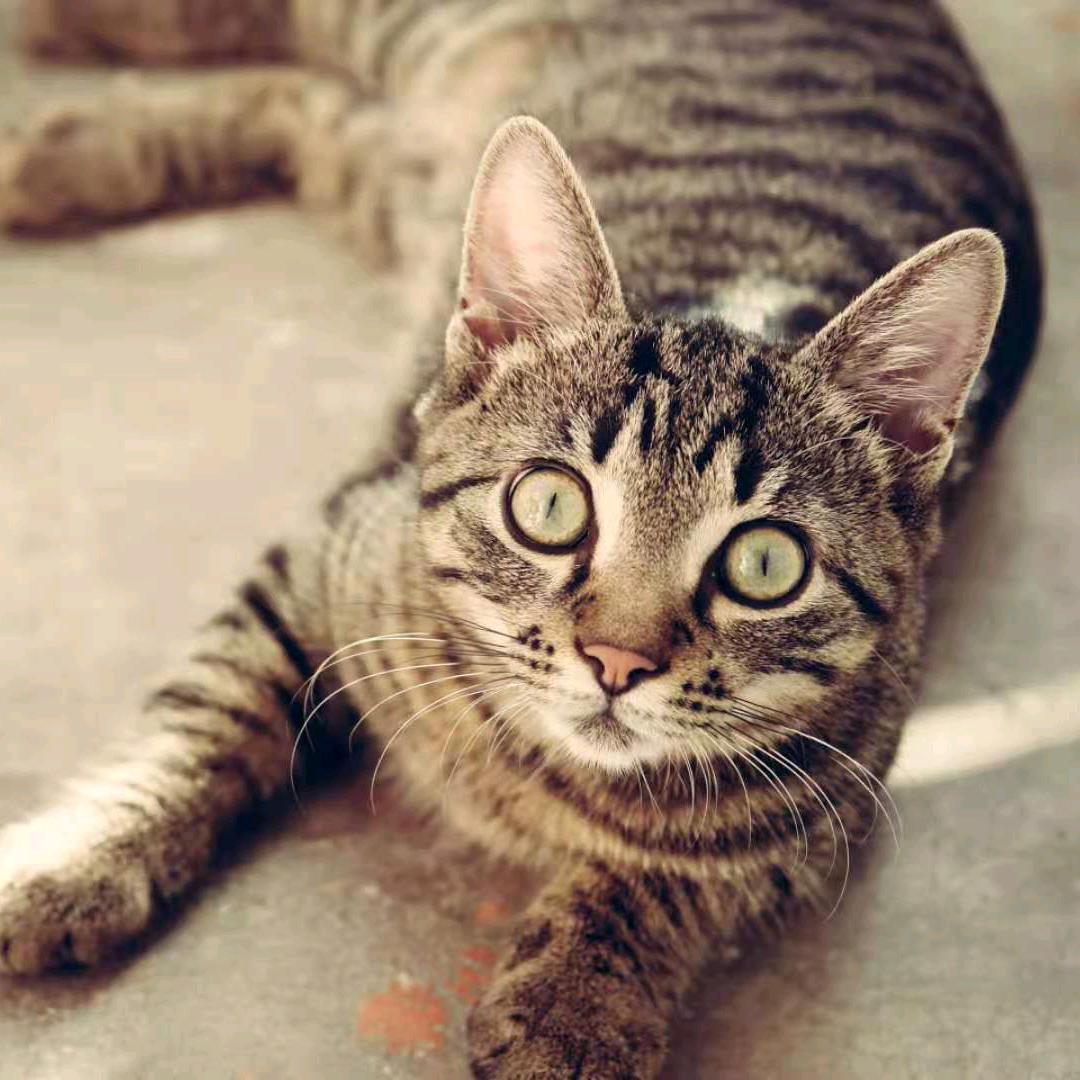 人定胜天🇨🇳