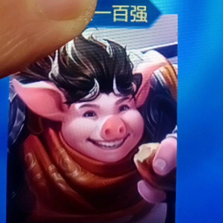 松鼠