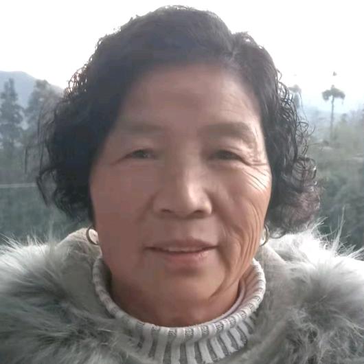 凤妈