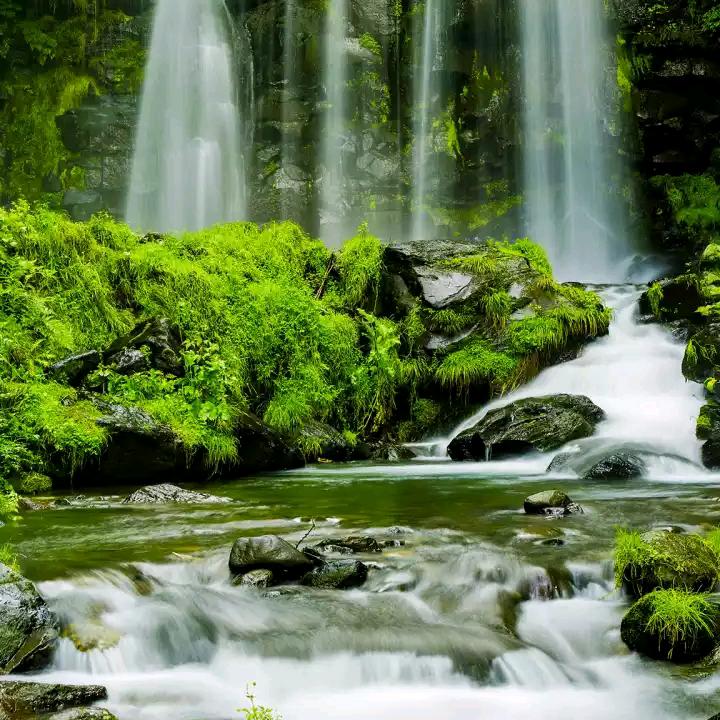 手机用户58494582246平安有福