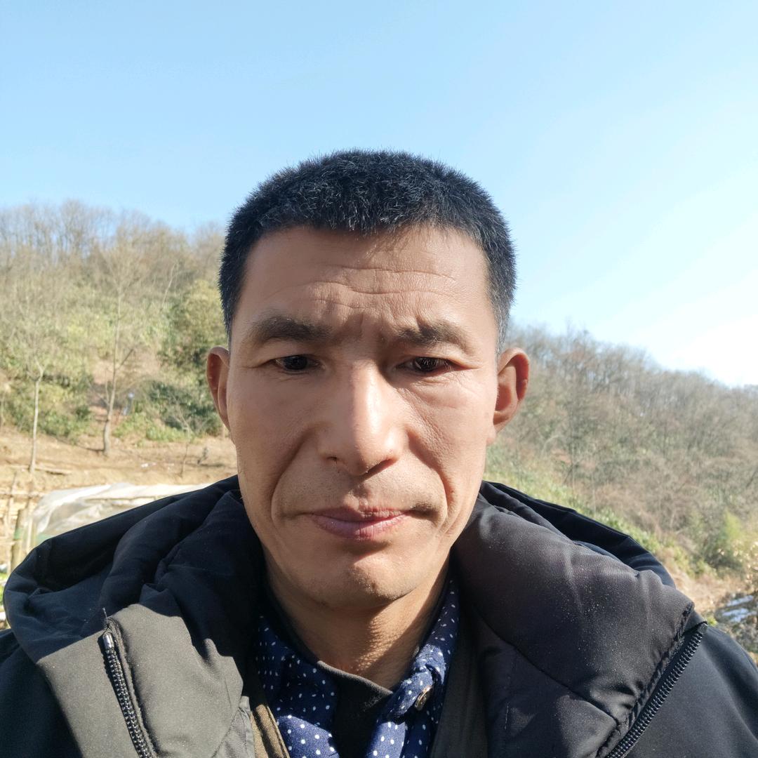 云游红尘