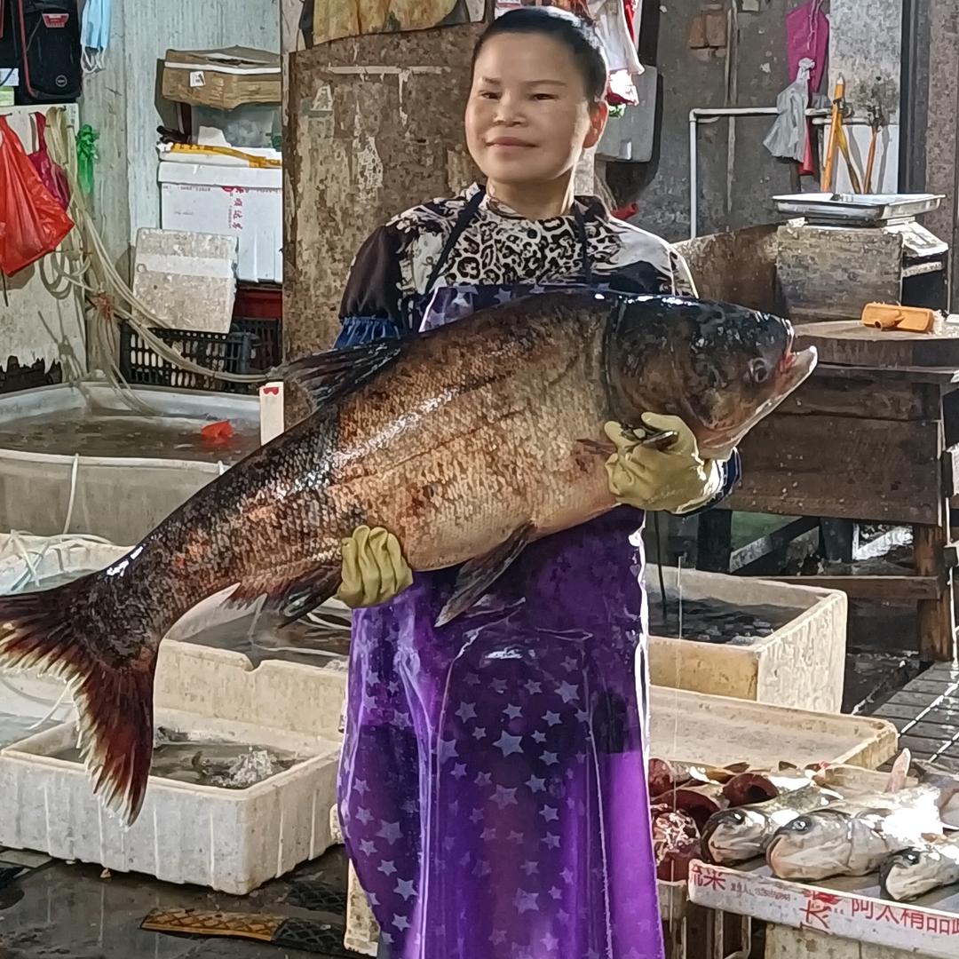 大鱼妹