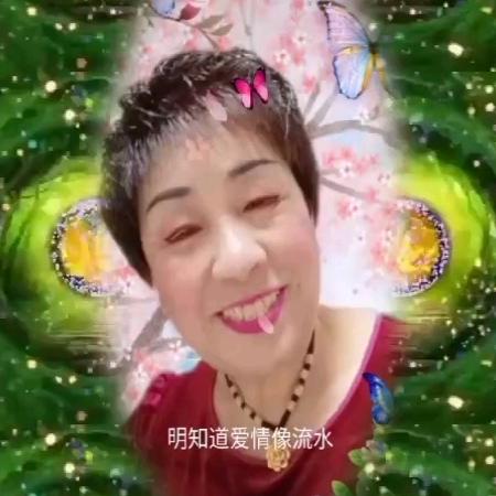 张玉华7903