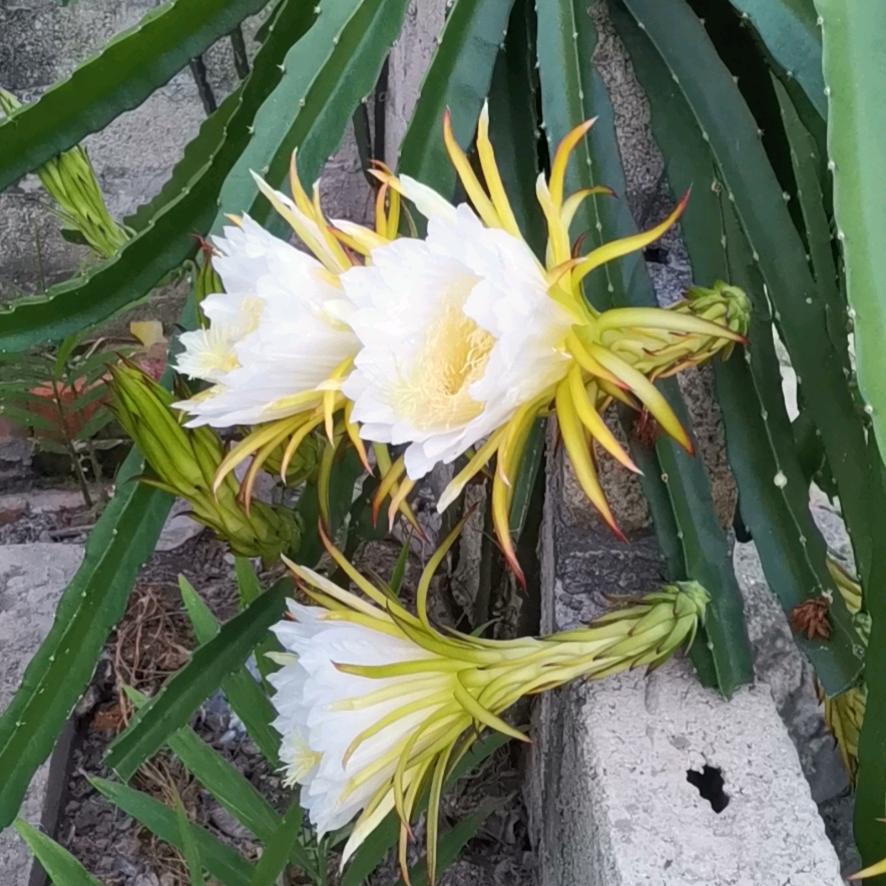 开心的每一天