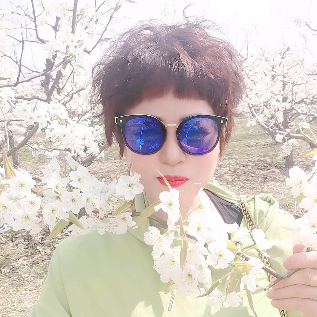 合合美美