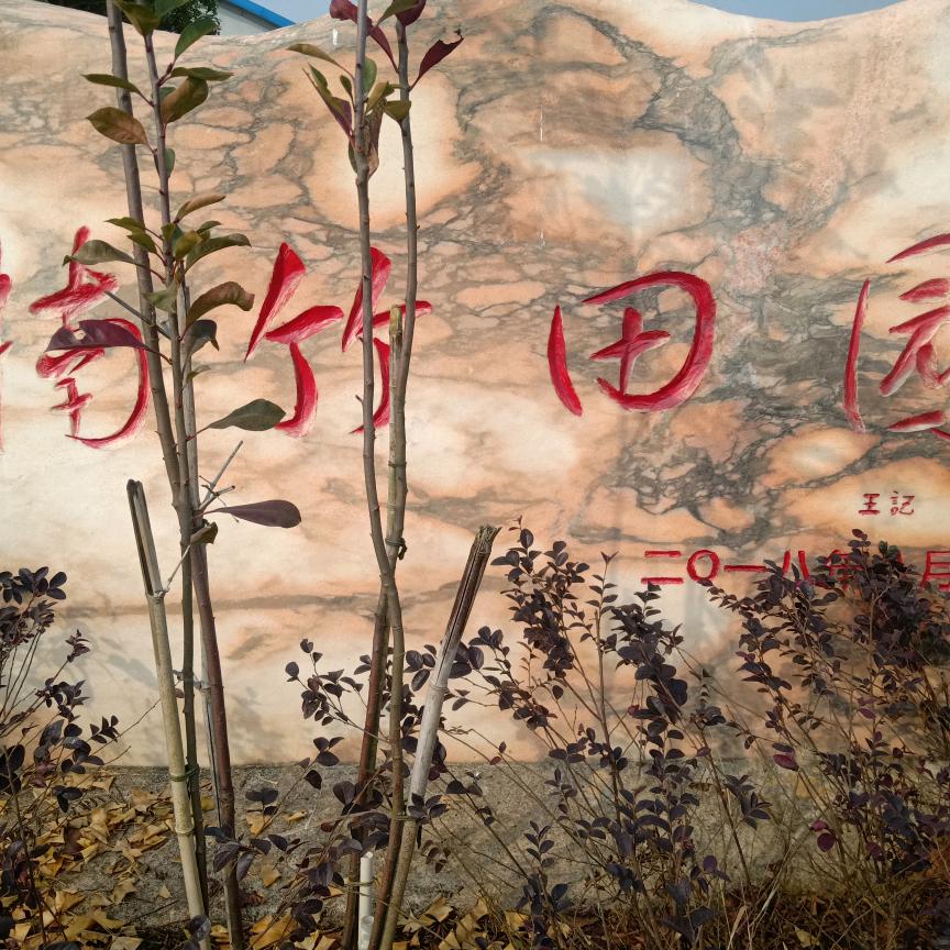 《楠竹田园》王記餐饮王赞江