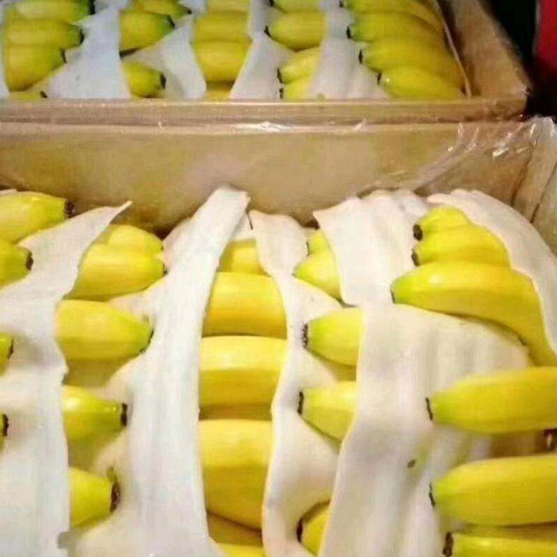 永丰果业（小谢）