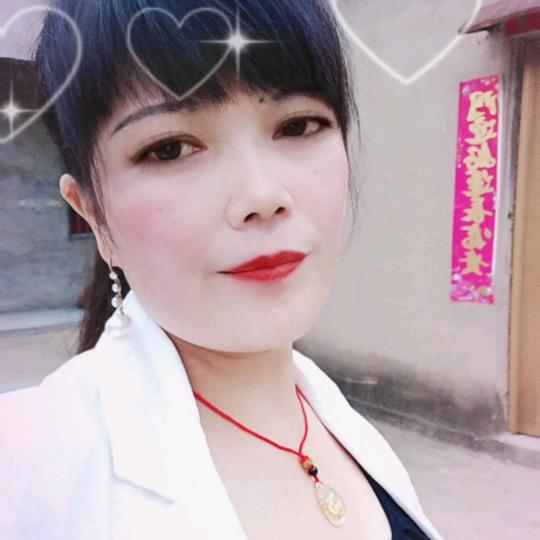一棵永青的小竹