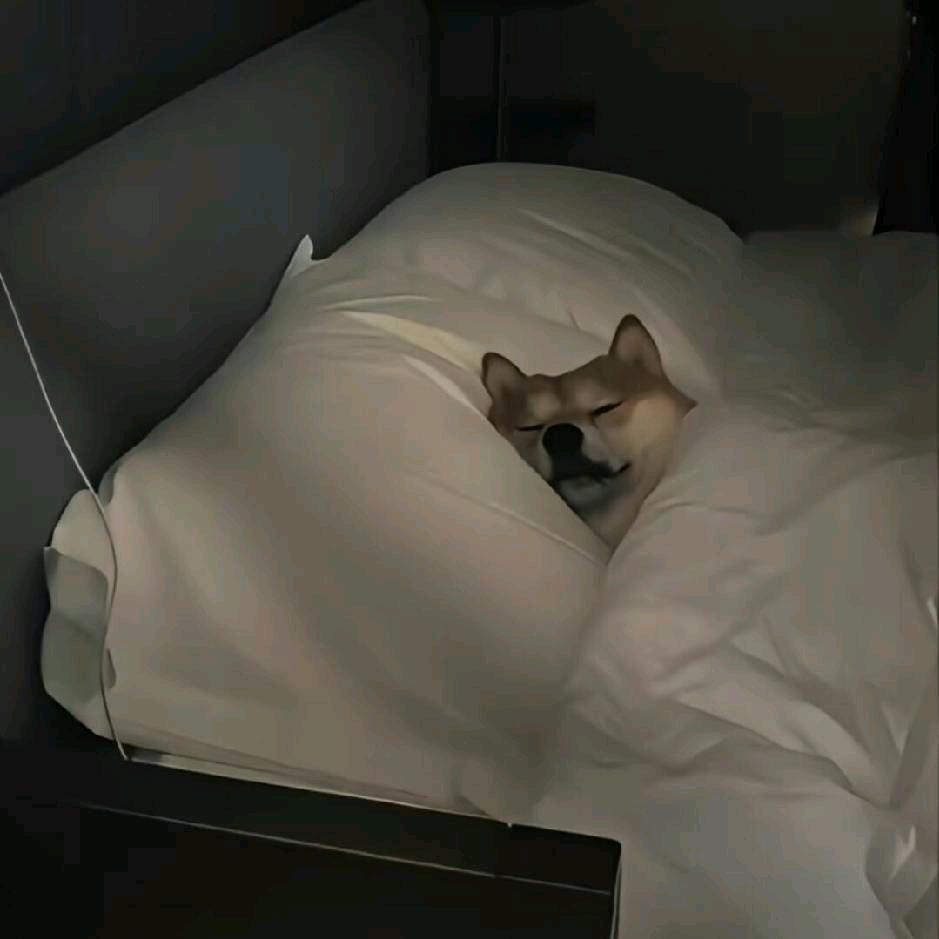 不过尔尔