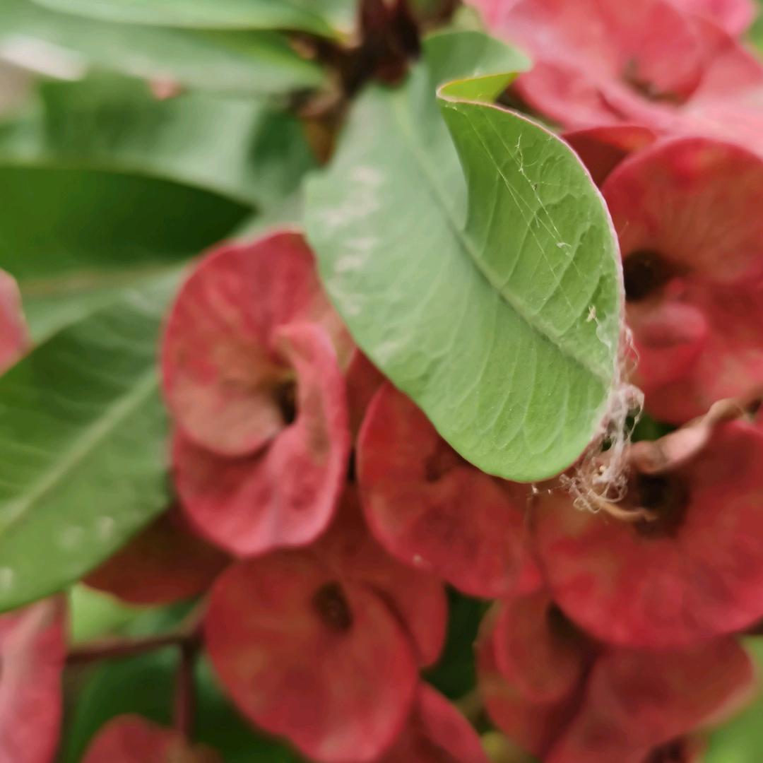 平安幸福（拒绝私聊）