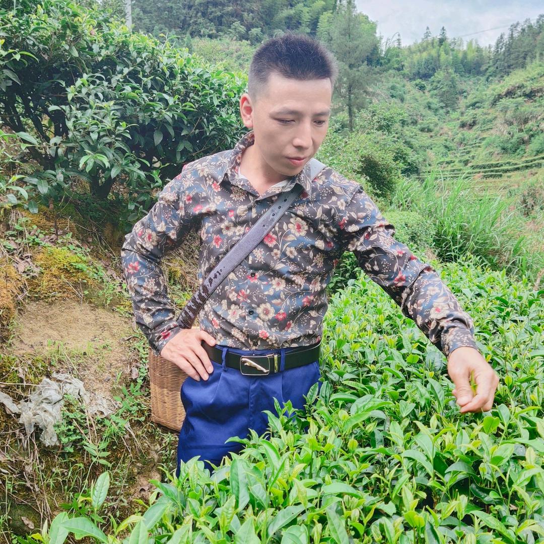 客家蓝哥(茶叶)