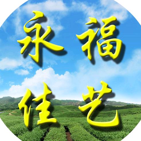 永福佳艺