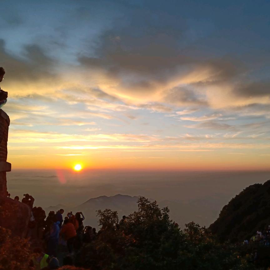 手可摘星陈(*^ω^*)