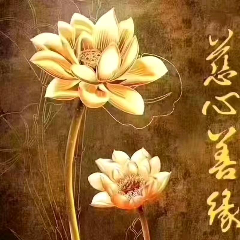 妙善阁