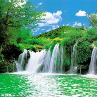 秋成共享菜园
