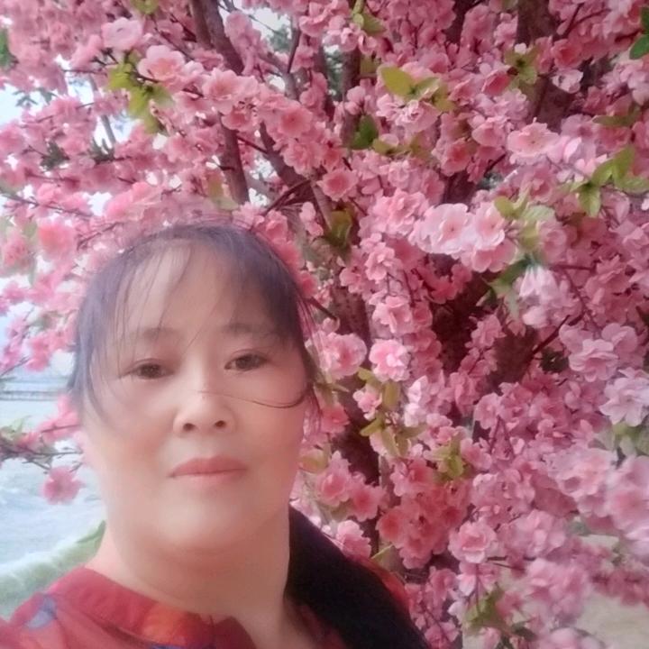 胡琴😀