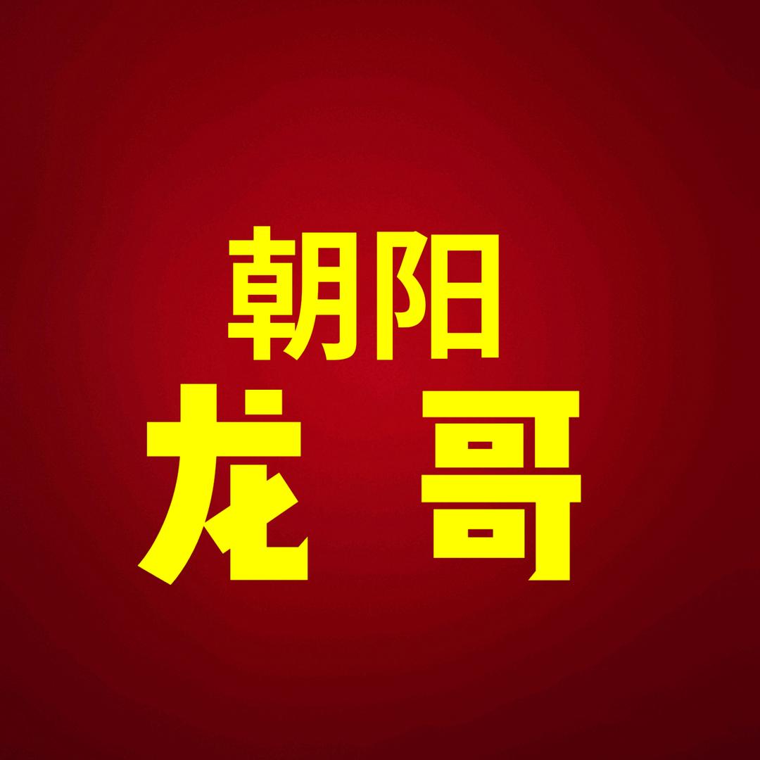 龙哥皮卡大全
