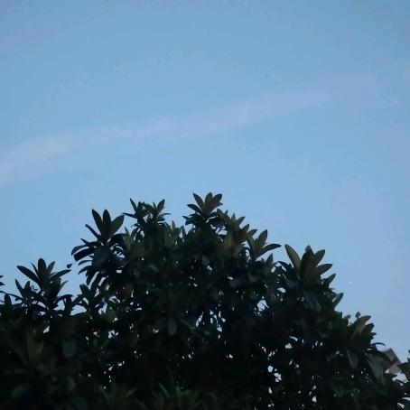 三哥