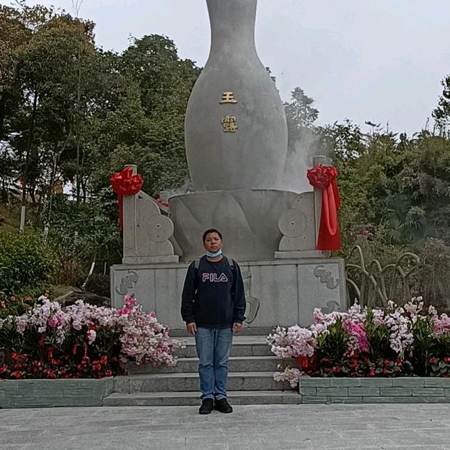 阳光灿烂银