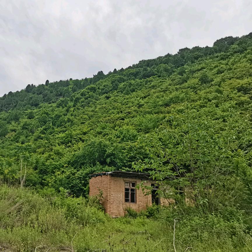 登高望远