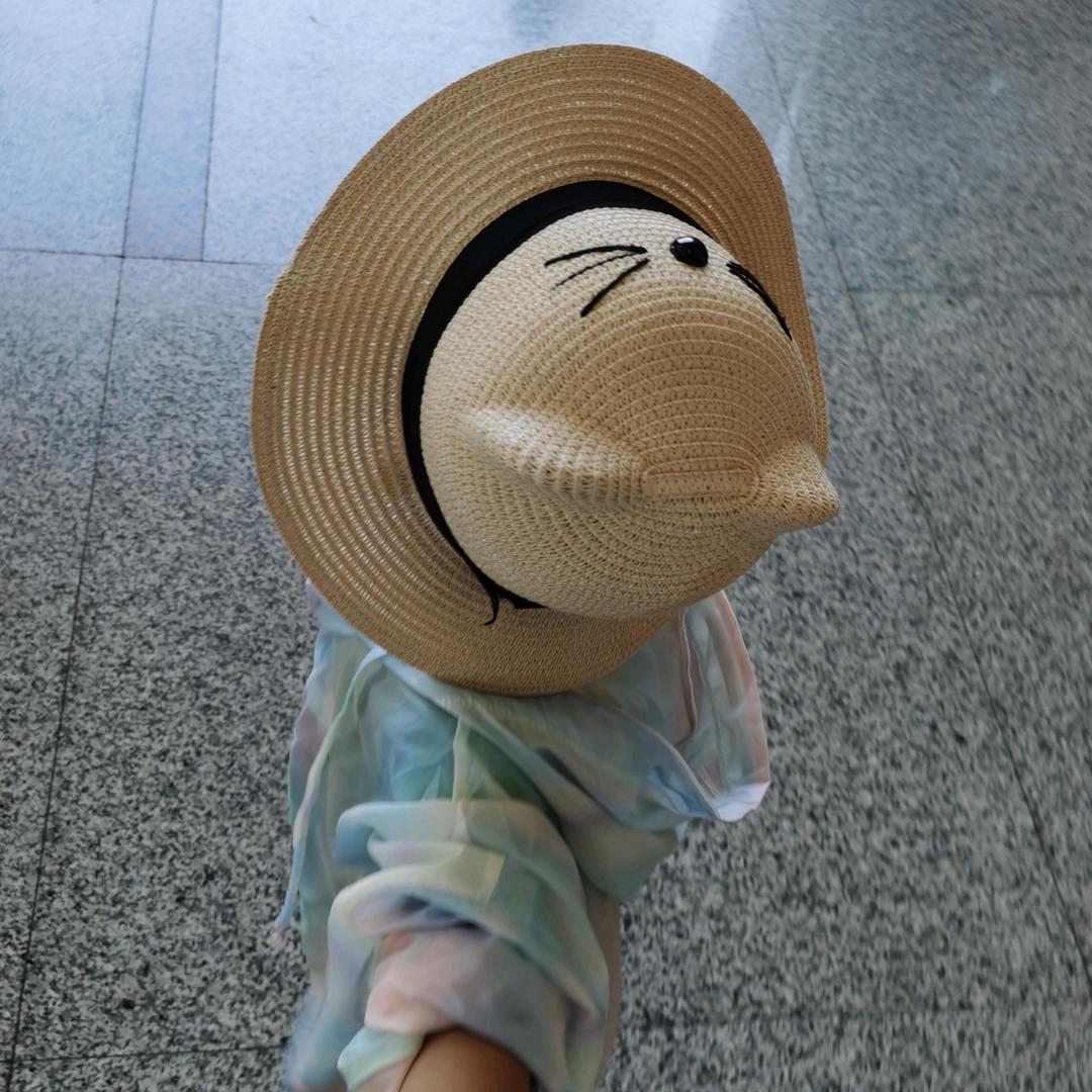大明白与