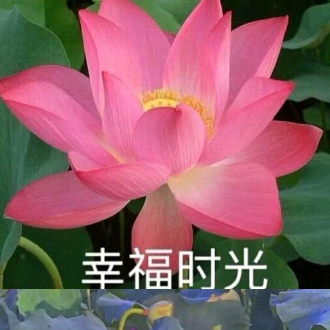 健康是福