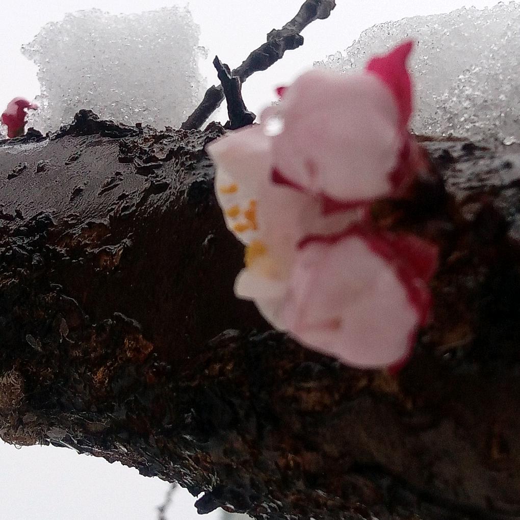 墨漩刘哥工作室