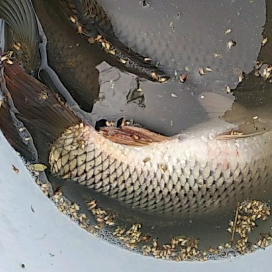 @唐新民专业泥工