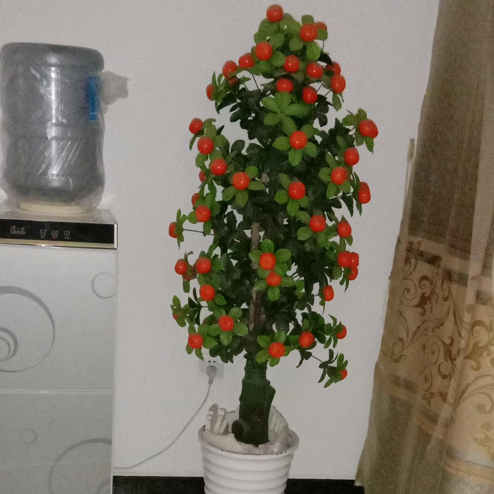 用户8685171455966高姐姐