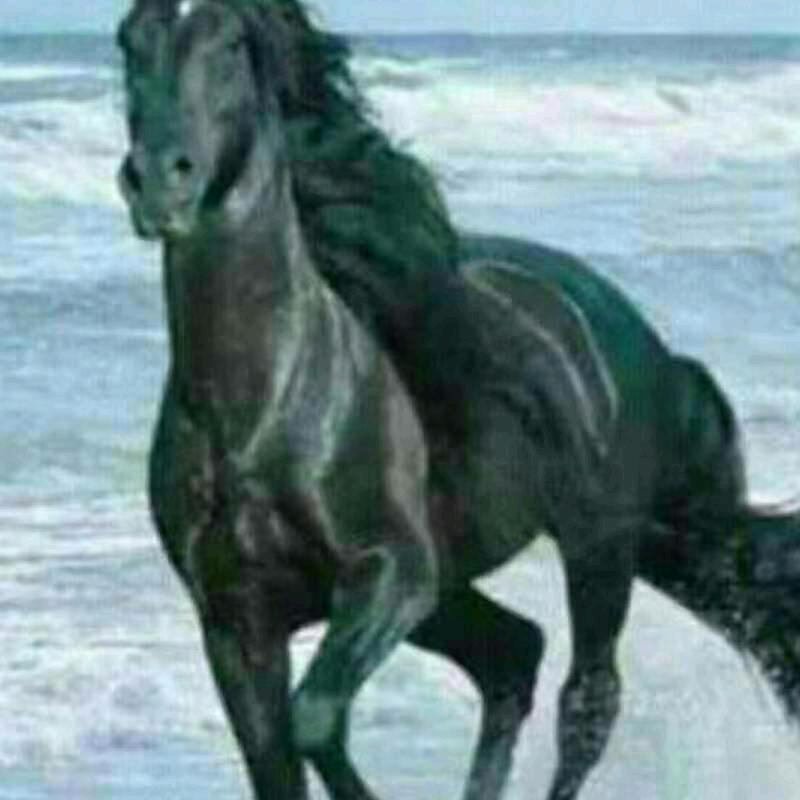 一杯绿茶🍒🍎