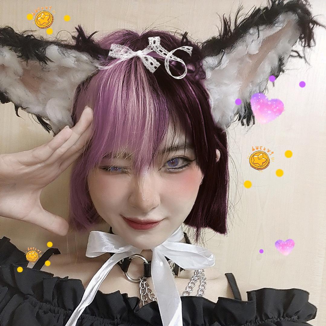 醋醋每天吃点啥呢