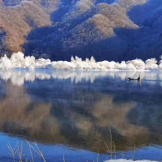 大智若鱼