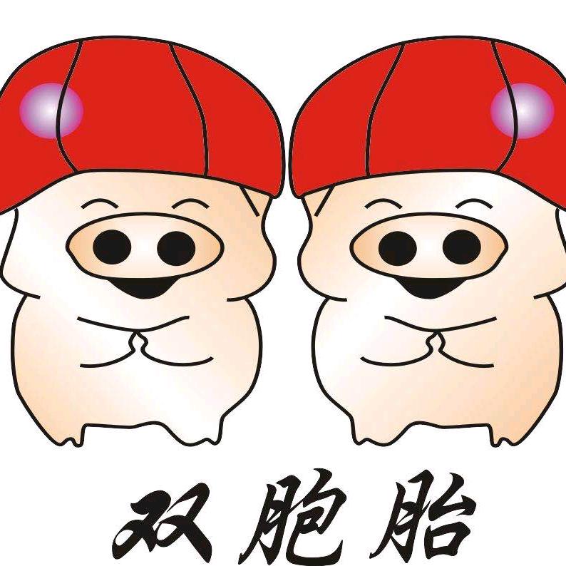 双胞胎饲料与服务