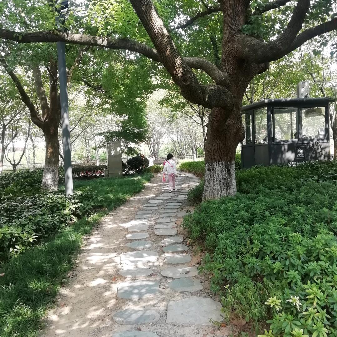 梦里寻她千百度