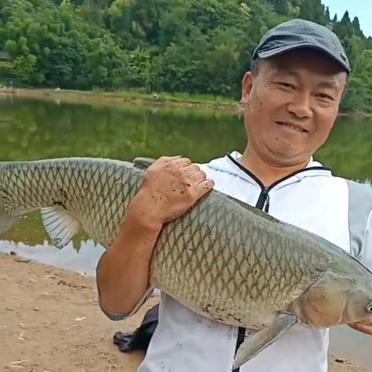 乐至县阿涛烤肉店