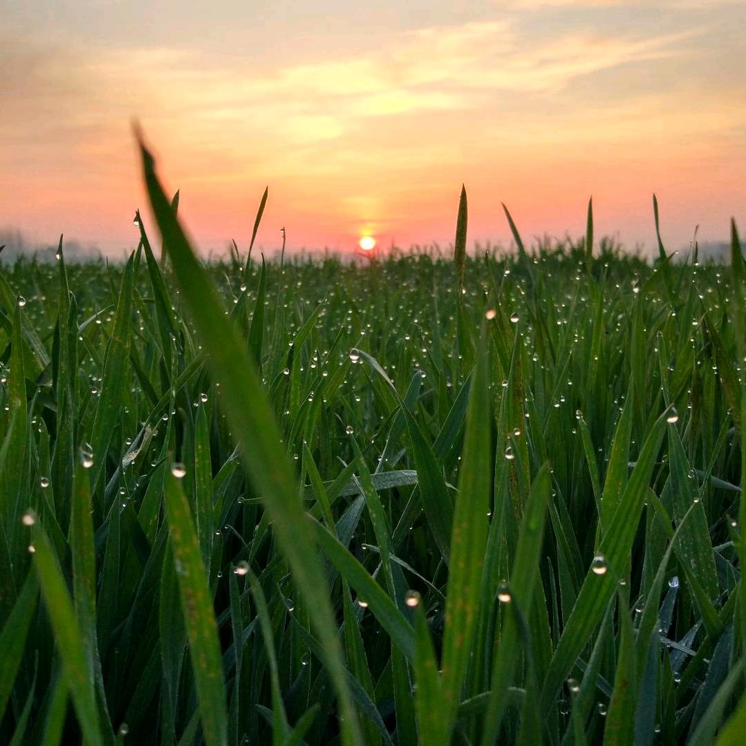 唐僧洗头爱飘柔