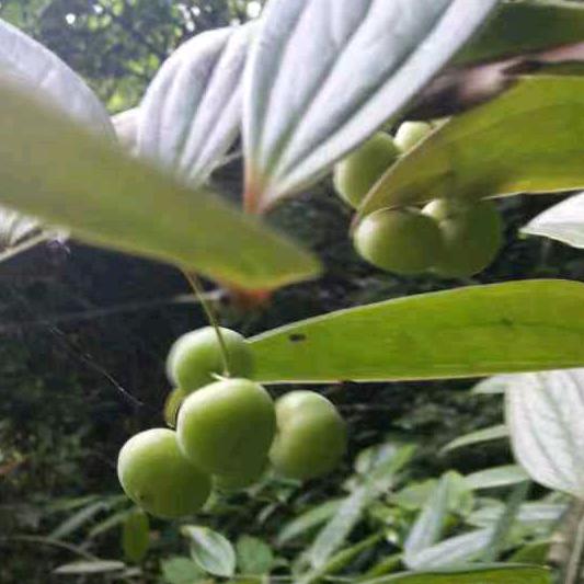 @昨天今天明天