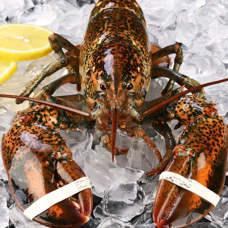 海之星海鲜餐厅官方号