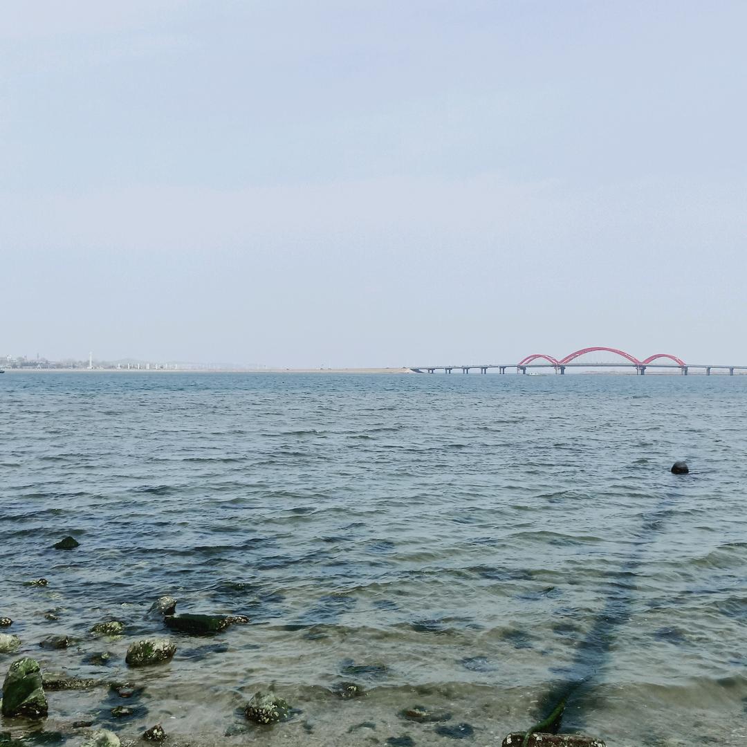 阳春三月