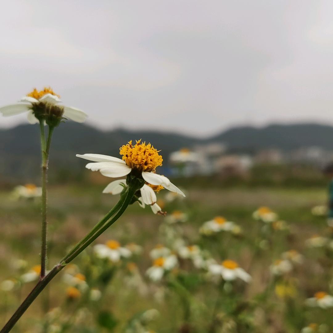 心随妳动