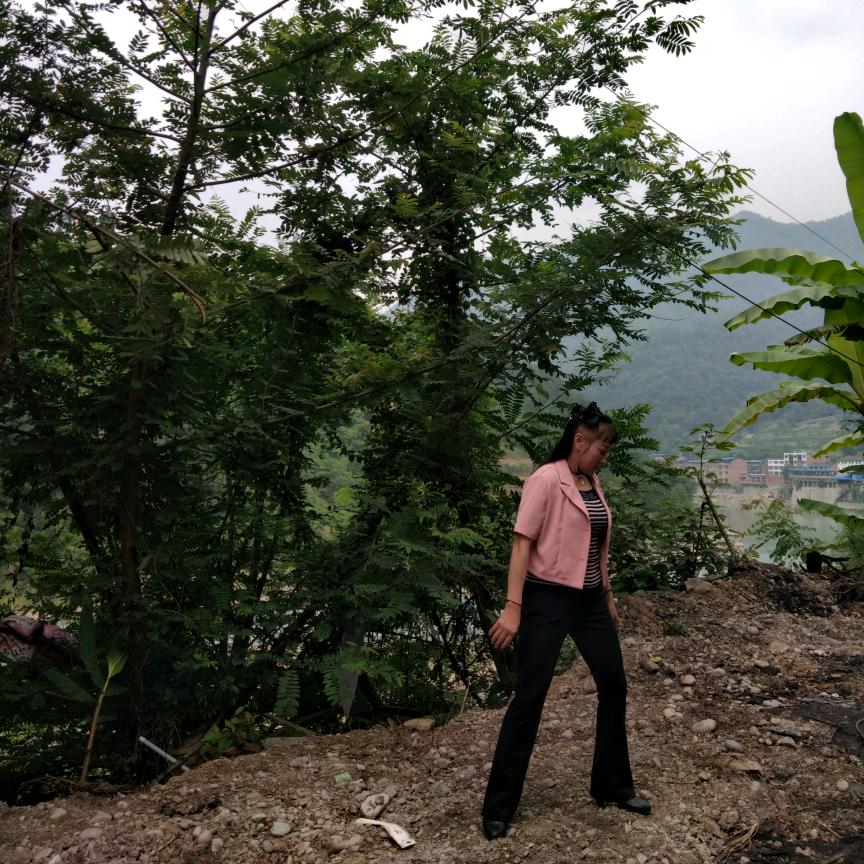 四川妹儿
