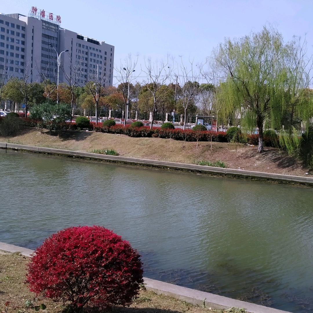 王三