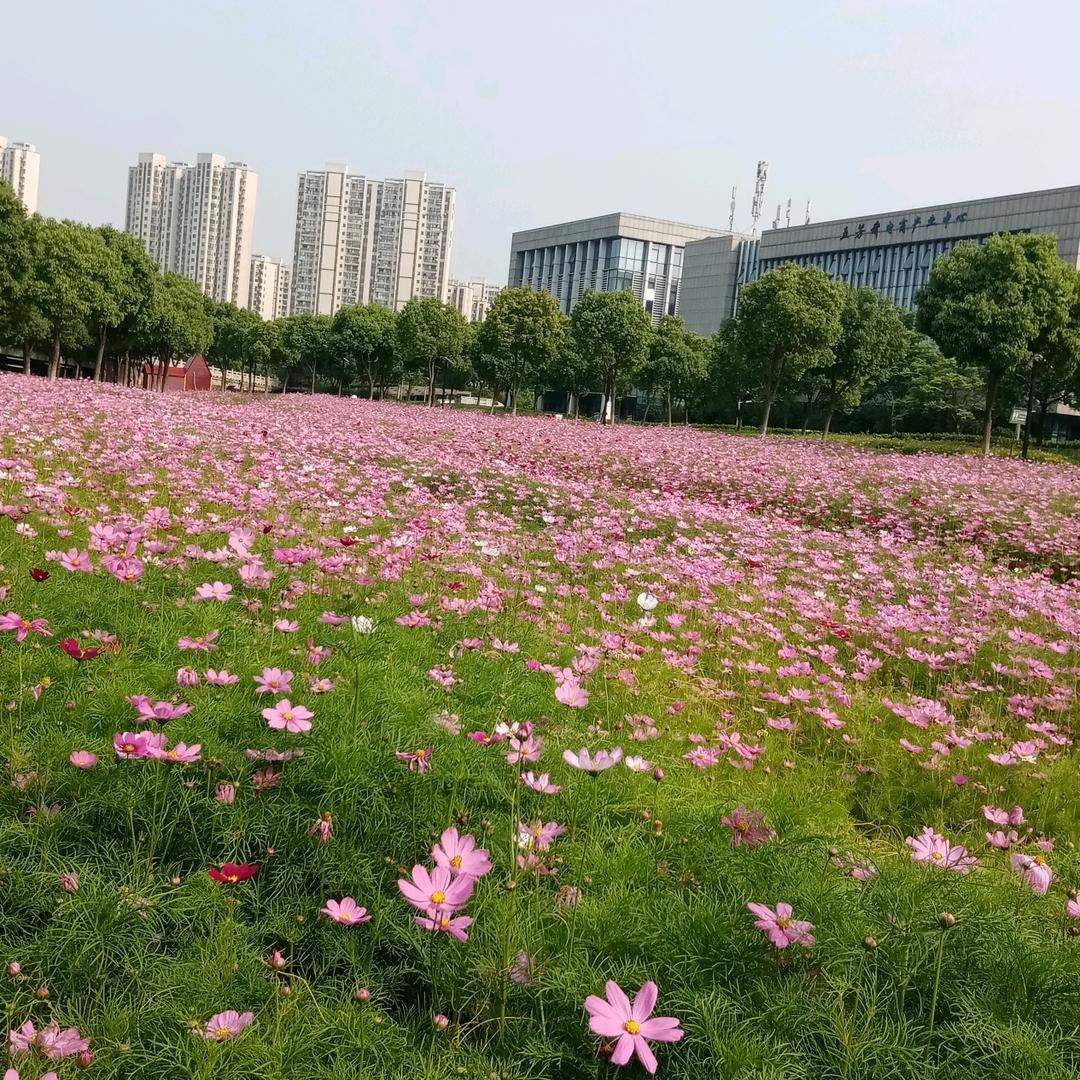 青春已逝去
