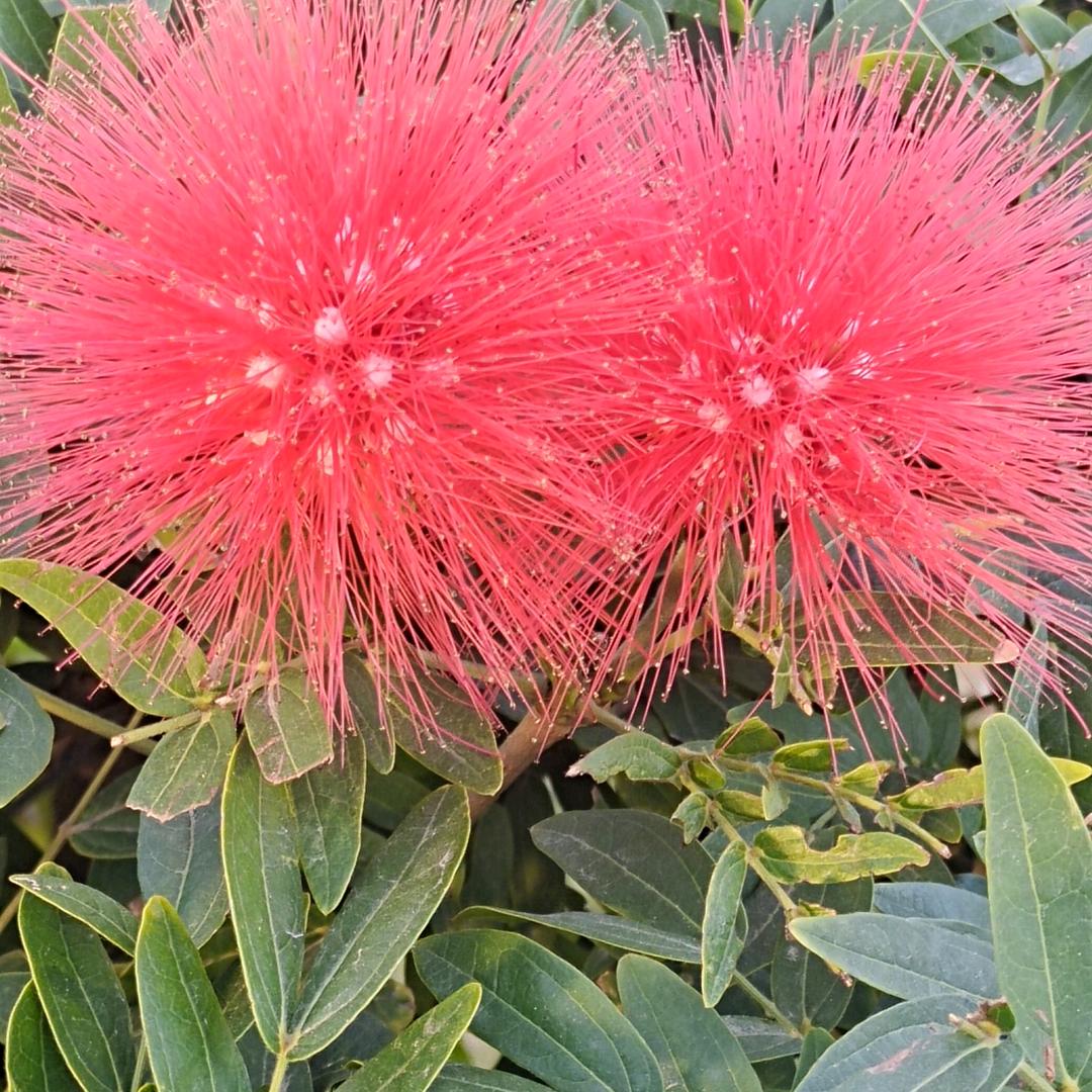 哥已不在是当年的哥🍒🍒