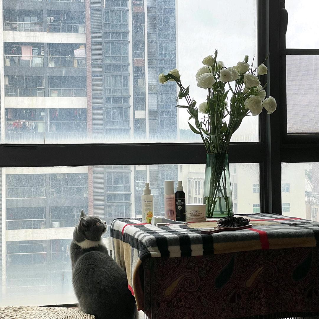 甜蜜的家