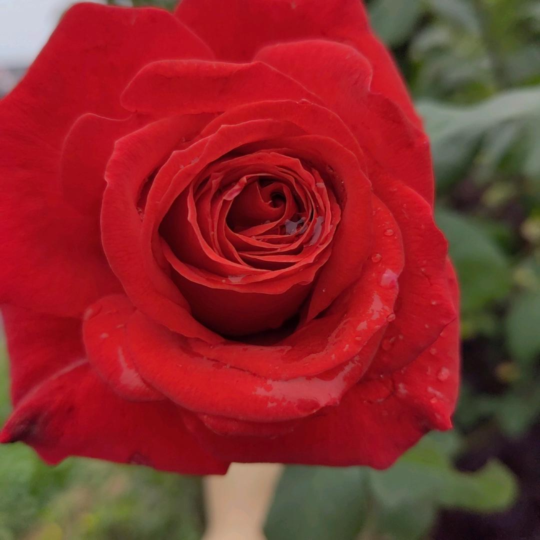 你若不勇敢，谁替你坚强