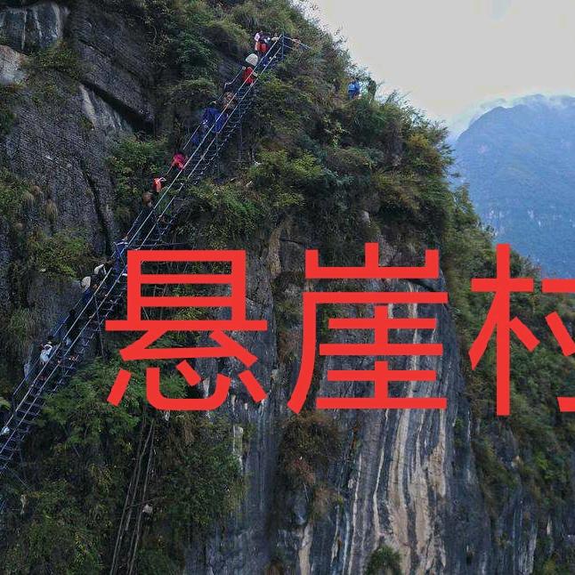 木果 记录生活