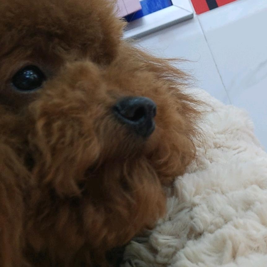 小一一呀
